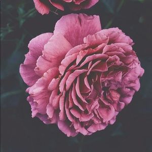 Meet your Posher, Hailee